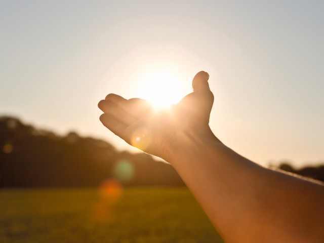 hand holding out to the sun